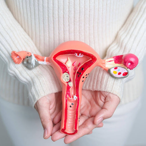 Understanding PMOS / PCOS: A Functional Medicine Approach