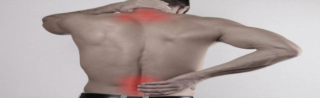 How Chiropractic Care in Denver Can Help Alleviate Back Pain