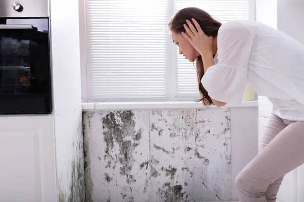 How to Detox from Mold Exposure: Testing, Treatment & Recovery Plan