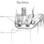 A Quick Fix For Better Sitting Posture 2