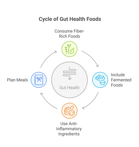 A visual representation of the “Cycle of Gut Health Foods,” highlighting the importance of consuming fiber-rich foods, including fermented foods, using anti-inflammatory ingredients, and planning meals to support gut-brain health. Ideal for understanding how chiropractic care and nutrition work together for digestive health.