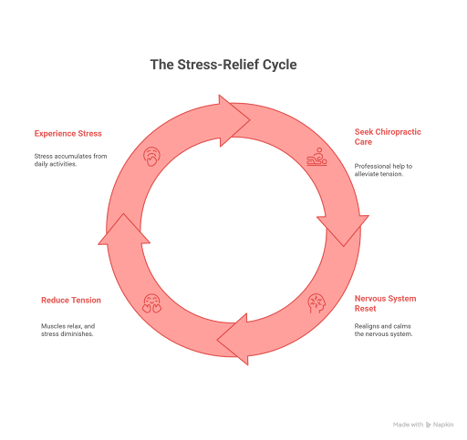 Illustration of a healthy sleep cycle, showing stages of light, deep, and REM sleep, which can help reduce TMJ pain.